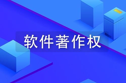 计算机软件版权查询方法及开发注意事项
